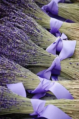 a bunch of onions with purple bows on them at Chambres entre Ventoux et luberon in Sault-de-Vaucluse