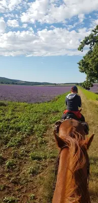 a man riding on the back of a horse at Chambres entre Ventoux et luberon in Sault-de-Vaucluse