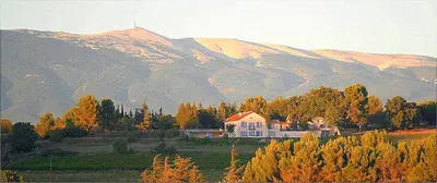 a house in a field in front of a mountain at Amandier in Mazan