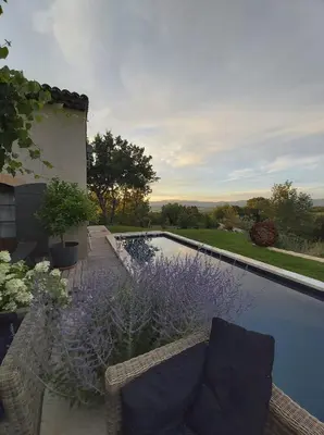 a swimming pool with a couch and some plants at Une Sieste en Luberon in Bonnieux