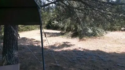 a tripod standing next to a tree in a field at Acacia in Mazan