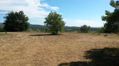 an open field with trees on the horizon at Acacia in Mazan
