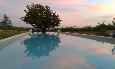 a large swimming pool with a tree in the middle at La Bastide des Vasses 