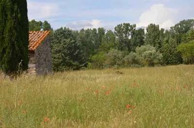 an old stone building in a field with flowers at Domaine Shambala - gîte en Provence avec une Grande Piscine in Velaux