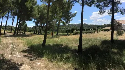 a field with trees and a house in the background at typical provencal farm in an exceptional natural site, the alpilles park - 8 people. in Maussane-les-Alpilles