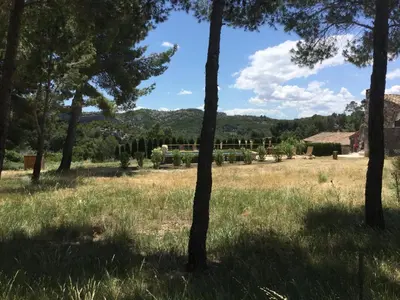 a field with trees in the foreground at typical provencal farm in an exceptional natural site, the alpilles park - 8 people. in Maussane-les-Alpilles