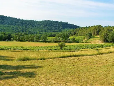 a field of grass with trees in the background at Le Mas Sérénité in Ansouis