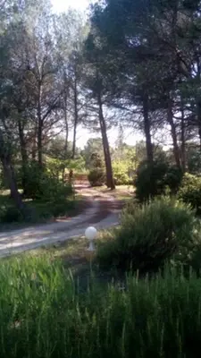 a road through a forest with trees and grass at Le Clos Zinou in Lambesc