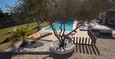 a tree in a pot next to a swimming pool at In Elsama piscine chauffée in LʼIsle-sur-la-Sorgue