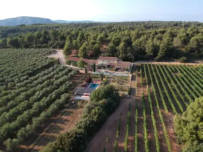 an aerial view of a farm house in a vineyard at Domaine de Villemus in Jouques