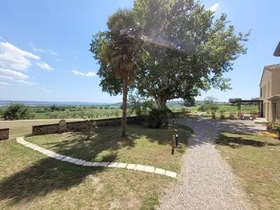a tree in the middle of a walk way at la bastide de l'adrech in Manosque