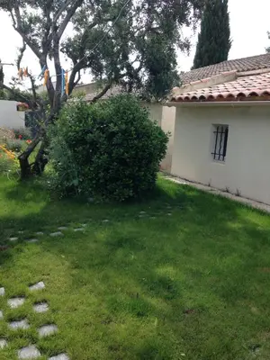 a yard with a tree and a house at studio avec exterieur in Eyragues