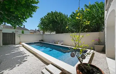 a swimming pool with a potted plant in a yard at Amazing Home In Vedène in Vedène