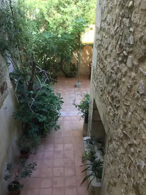 a courtyard with plants and a stone wall at Maison de village Novissime in Noves