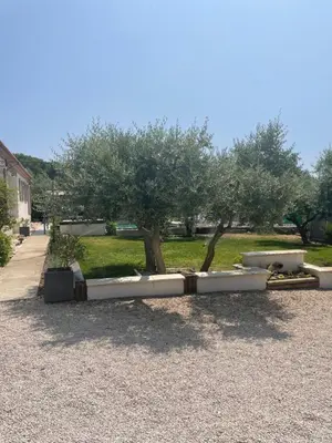a park with two trees and a sidewalk at Villa Le Luberon in Mérindol