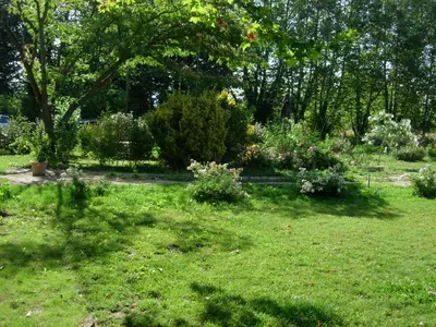 a garden with green grass and trees and bushes at Mas de Karlotte in Pernes-les-Fontaines