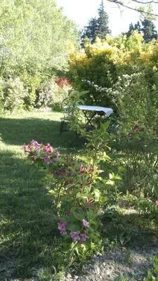 a bench sitting in the middle of a garden with flowers at Mas de Karlotte in Pernes-les-Fontaines