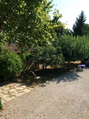a garden with trees and a blue bench on the ground at Rêve d’Emma in Plan-dʼOrgon