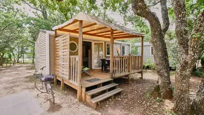 a small wooden cabin with a porch and a tree at Domaine Les Chênes Blancs in Saint-Saturnin-les-Apt
