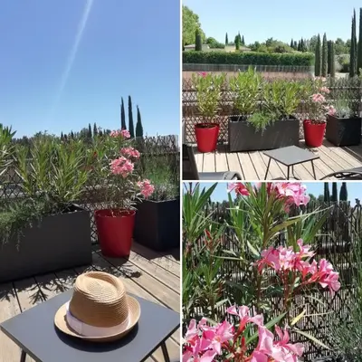 a white bed with a tray of food on it at Sweet Home Studio Aix en Pce, clim,terrasse,piscine,pkg gratuit in Aix-en-Provence