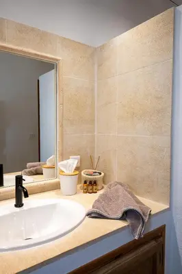 a bathroom with a sink and a mirror at Le Champ des Oliviers in Oppède