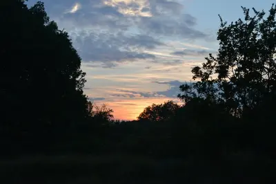 a sunset in the sky with trees in the foreground at Fleur des îles in Saint-Michel-lʼObservatoire