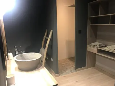 a bathroom with a bowl sink in a room at Loft piscine et spa provence in LʼIsle-sur-la-Sorgue