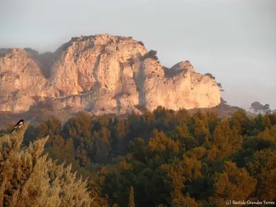 a rocky mountain with trees in front of it at Les Grandes Terres - Gîtes & SPA in Mérindol