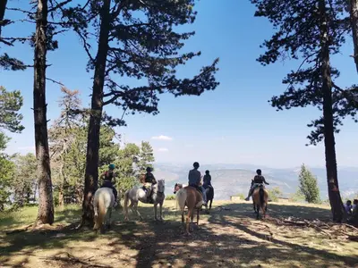 a group of people riding horses in the woods at Gîte en Provence ''Rose'' in Modène