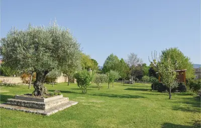 a park with an olive tree in the grass at Lovely Home In Gordes With Kitchen in Gordes