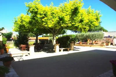 a tree with yellow leaves in a park with benches at Le Mas de l'Amandier in Saint-Saturnin-lès-Avignon