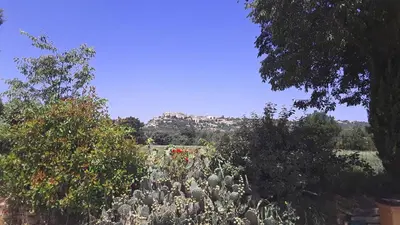 a view of a garden with a mountain in the background at La petite Galéjade in Gordes