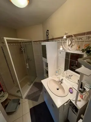 a bathroom with a sink and a shower at Appartement 