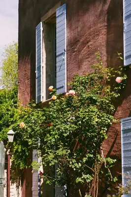 a building with a window and a plant with roses at Bastide Rose in Le Thor