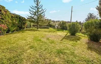 a yard with grass and bushes and a tree at Maison provençale avec cheminée à Loriol-du-Comtat, jardin privatif in Loriol-du-Comtat