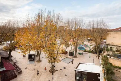 a tree with yellow leaves on a city street at LEYDET in Aix-en-Provence