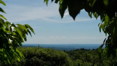 a view of the city from the tree tops at les cerisiers de stella in Blauvac