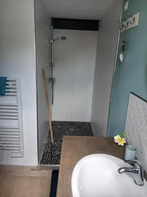a bathroom with a sink and a shower at les cerisiers de stella in Blauvac