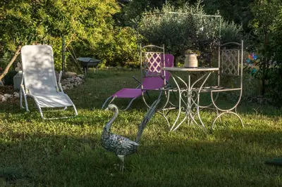 a peacock standing in the grass next to a table and chairs at Chambres d'Hôtes de Curnier in Bédoin