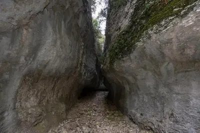 a tunnel in a rock wall with a dirt road at Chambres d'Hôtes de Curnier in Bédoin