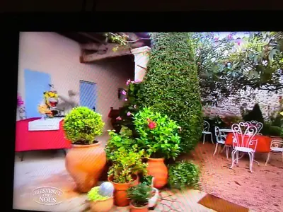 a group of potted plants in a patio with a table and chairs at La Maison du Peintre en Provence in Mallemort