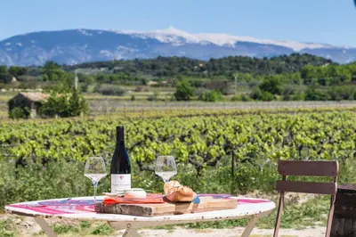 a table with a bottle of wine and two glasses at Le Mas de Plein Pagnier in Mazan