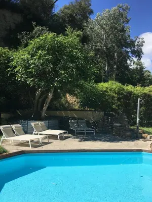 a pool with two vases and a statue in the grass at Le Mas aux Arômes in Puget