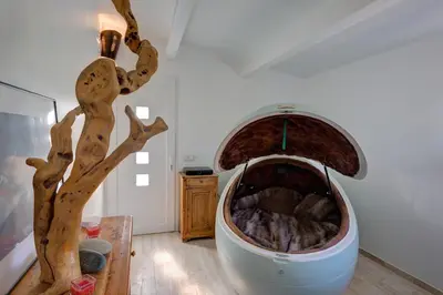 a fireplace in a room with a tree at Les Gargoulettes in Lauris