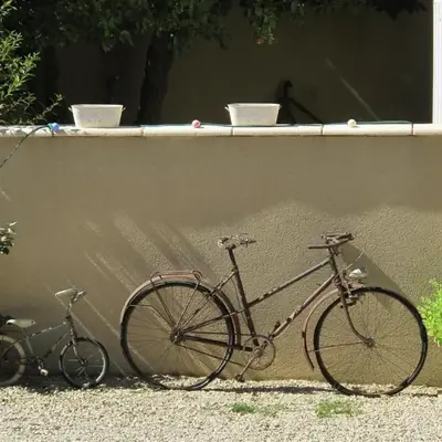 Lou Cardalines