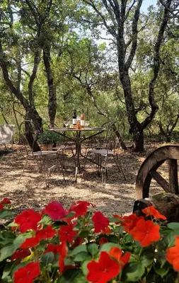 a table and chairs with red flowers and trees at Escapades en Ventoux in Venasque