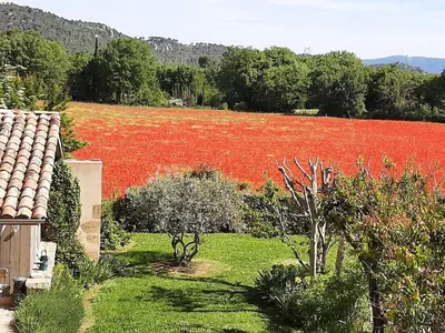 a large field of red flowers next to a house at Bastide de Fanny in Rognes