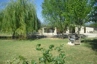 a yard with a house and some trees and grass at Lou mas li Pitchoun 