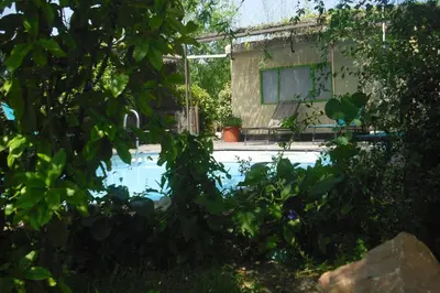a swimming pool in a yard with trees at Lou mas li Pitchoun 