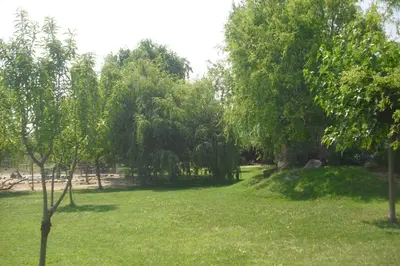 a park with trees and a grass field at Lou mas li Pitchoun 